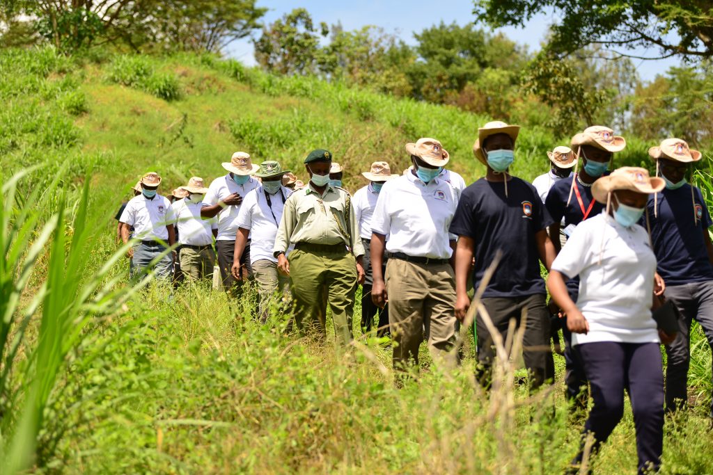 MKU and KFS officials walk during Mount Kenya University's botanic tree planting ceremony
