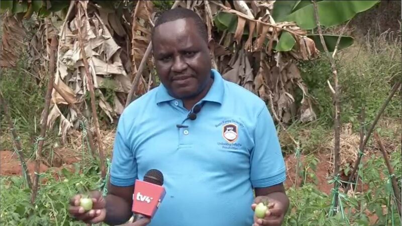 Dr. Allan Mweke, lecturer department of Animal health and production at MKU talks to farmers about biological pesticides at Kabaa, Machakos county last weekend.  Photo: Courtesy